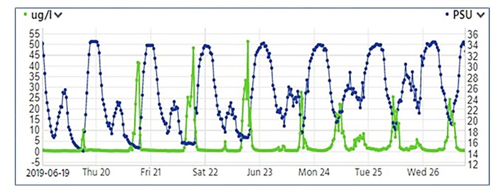 Chlorophyll-a concentrations (green line, left-hand axis) during an algal bloom on Saltwater Creek. Blue line is salinity (right-hand axis)