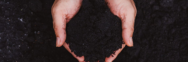 Biochar