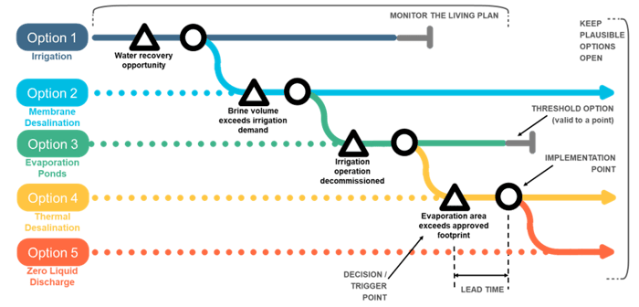 adaptive_pathways_image