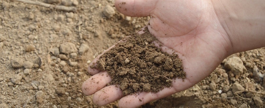 soil_hand